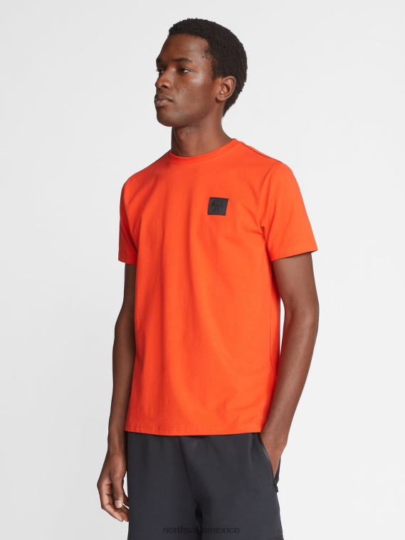 camiseta de manga larga hombres langosta North Sails ropa 020NL1266